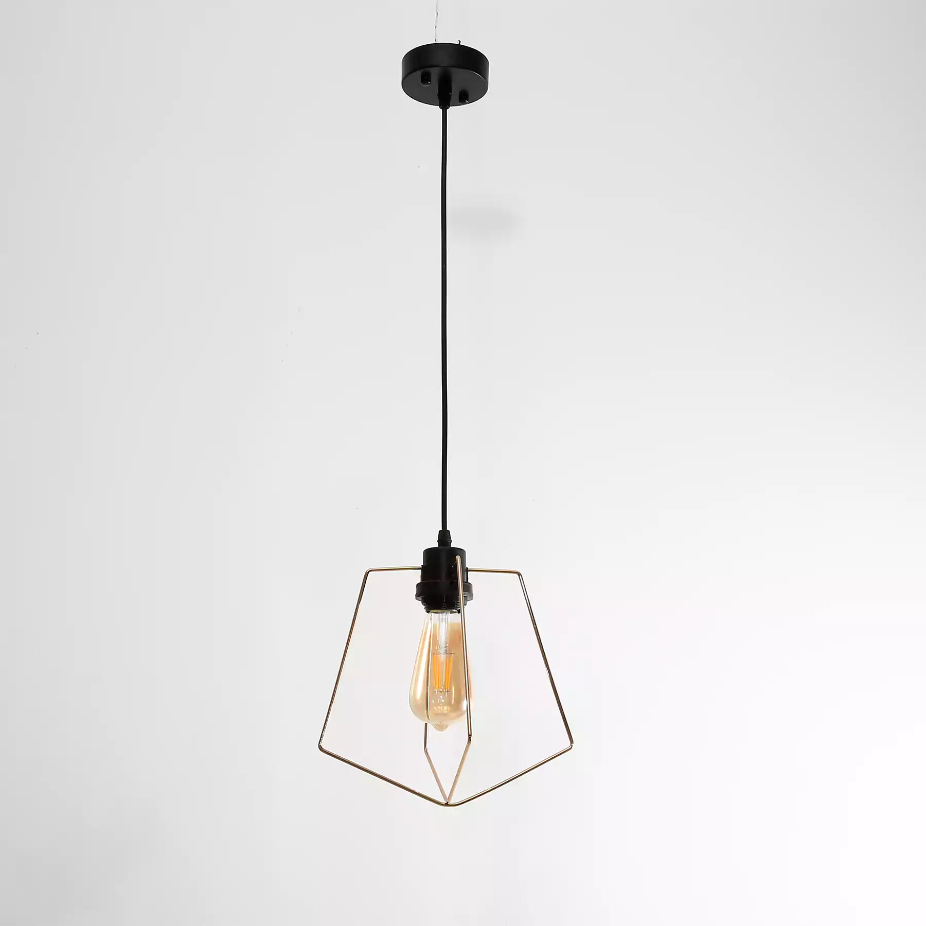 Exo 1P Pendant Light